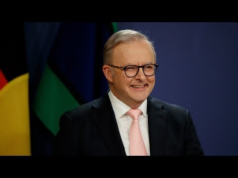 ‘Too little too late’: Albanese government turned a ‘blind eye’ on food security strategy