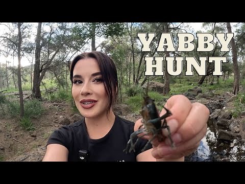 Epic Yabby Hunt: Catching Australia's Freshwater Delicacy!