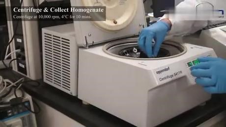 手把手教您使用杜恩斯匀浆器来裂解组织/细胞