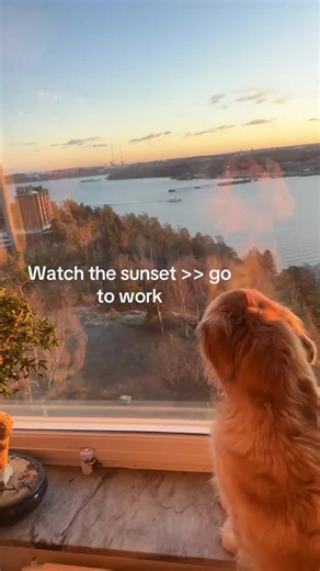 Chloethegolden (@chloeethegolden)s videor med intro x chorus the night we met - aboutourfeelingss