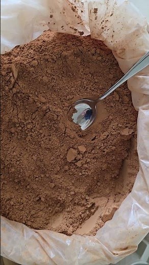 What Makes Premium Cacao Different? 🍫 | Real Cacao Explained #premiumcacao