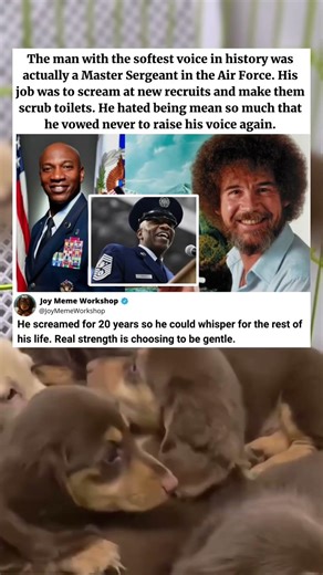 Why Bob Ross Vowed To Never Scream Again 😭 #memes #funny #pets