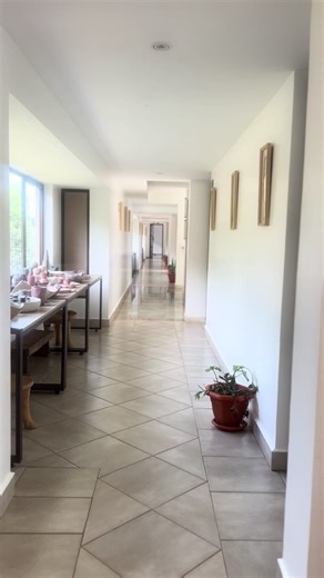 Adventure beats love always