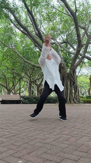 Rooted Like an Ancient Tree 🌳 Strike Like Thunder ⚡ | Tai Chi Power