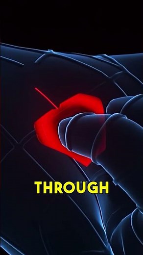 How Spider-Man's Web Shooters ACTUALLY Work