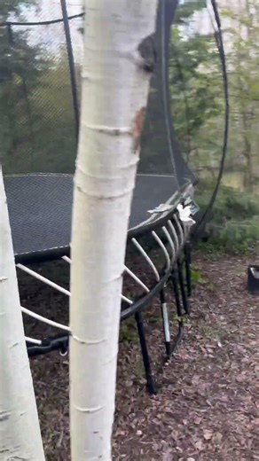 G3 S113 Springfree trampoline installation. Backyard