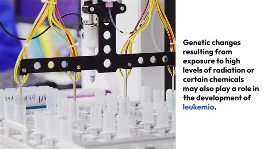 The Basic Principles Of Absolute neutrophil count