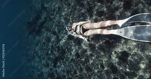 Woman swimming with tiger shark in tropical sea. Swimming with sharks