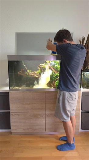 New Sand for my Discus Aquarium #aquarium #fishtank