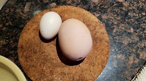 Pity the Chicken That Laid This Egg Inside an Egg