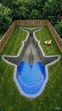 I Built a Shark Swimming Pool in My Backyard