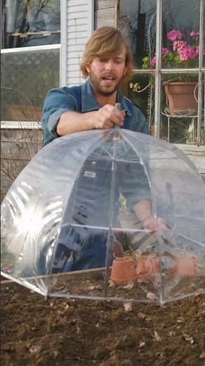 🪴 Easy Mini Greenhouse | #GardenParty