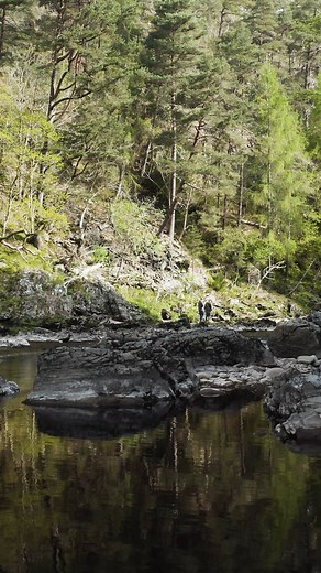 🎣 Logie & Relugas – Classic Findhorn Fly Fishing 🎣 Set within the stunning Findhorn Gorge, Logie & Relugas offer prime fly-only fishing on the River Findhorn. As water temps rise above 42°F, salmon begin their journey upstream, with April to June delivering hard-fighting springers, followed by summer grilse runs from late May. This beat provides an unforgettable experience in a breathtaking setting. Book now and fish one of the most iconic beats on the Findhorn! https://www.fishpal.com/Scotlan