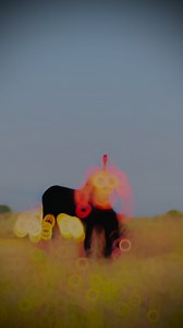 𝗔𝗟𝗧𝗔𝗙 𝗕𝗨𝗜𝗟𝗗𝗘𝗥 💪🏻🦁👀 . . . #altafbuilder #mh20 #aurangabad #ɴᴇᴡʀᴇᴇʟ #mela ##gujjar #fitness #modal #zygym #bodybuilding #selfimprovement | Altaf Khan