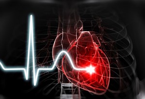 Did You Know Your Heart Can Beat Outside of Your Body?