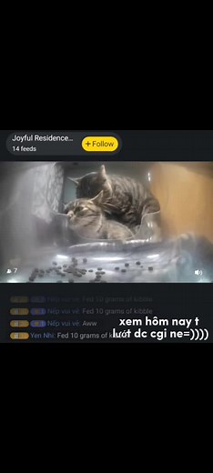 ĐÁNG EO😇 #purrrr #purrrr_app #vn @purrrr_app_us @Purrrr_Creator | purr app