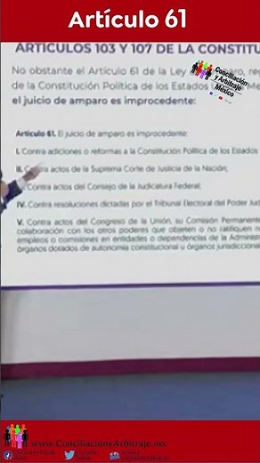 WHAT DOES ARTICLE 61 OF THE AMPARO LAW SAY?