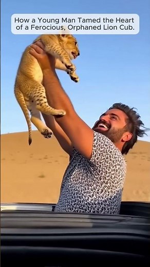 From Feral to Family: A Lion Cub's Journey #shorts #lion #animalrescue