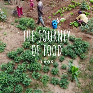 1K reactions · 91 shares | Where did your food come from? More than 137,000 school children in Laos eat a healthy lunch at school made from ingredients that are grown locally. Fresh and delicious! 凌塞綾 #WorldFoodDay #FoodJourney | World Food Programme | Facebook