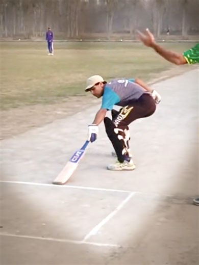 Exciting Cricket Moments at Alamzeb Ground