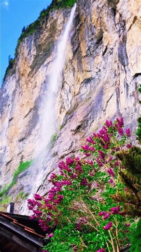 Hearttaching Places in Switzerland 🇨🇭❤️ | The Beauty of Switzerland 🇨🇭 #nature #travel #swissbeauty
