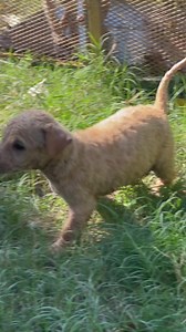 1.9K views | Random Monkey on Reels | Facebook