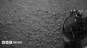 Nasa's Curiosity rover successfully lands on Mars