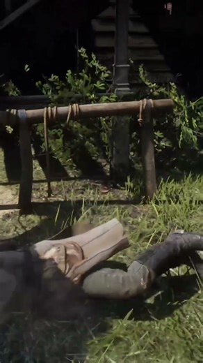 Horse fail compilation💀