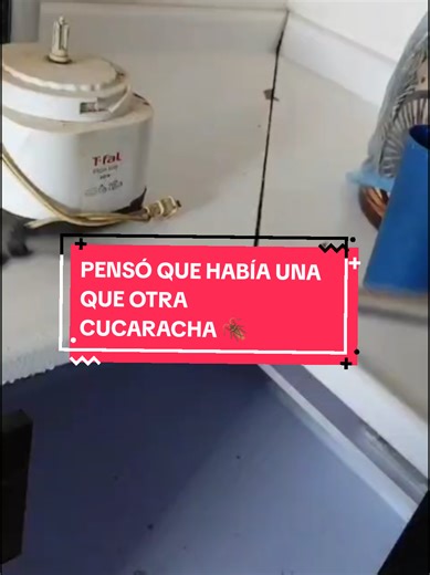 PENSÓ QUE ERA UNA QUE OTRA CUCARACHA 🪳 Y RESULTÓ UNA INFESTACIÓN 😱 #pmcontroldeplagas #serviciosprofesionales #expertosenplagas #cucarachas #plagasdecasa