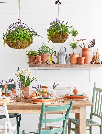 These Hanging Plants Will Glam Up Any Space