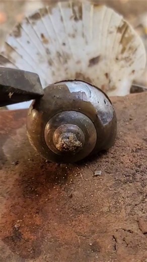Watch the pouring of lead water into a conch shell
