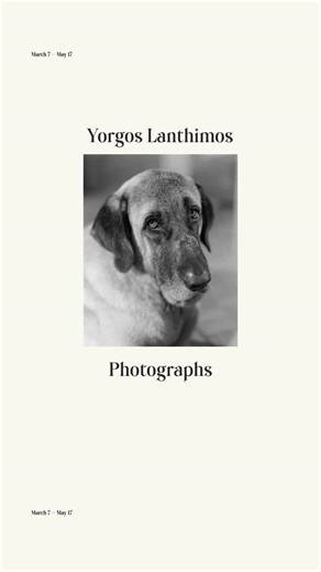 ONASSIS STEGI | YORGOS LANTHIMOS: PHOTOGRAPHS Η πρώτη έκθεση φωτογραφιών του διεθνώς καταξιωμένου σκηνοθέτη και φωτογράφου @_yorgos_lanthimos_ , που έχει... | Instagram