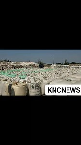 3 comments | Government through Food Reserve Agency - FRA has lost millions of kwacha after part of the grain bought from farmers in last year's marketing season in Kalubula area of Mkushi has completely gone to waste due to failure to secure grain and take to the main holding depot in masansa before rainy season. | KNC Radio & Television | Facebook