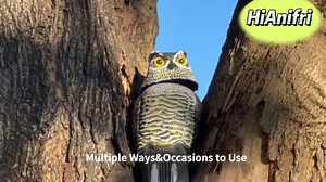 Watch Realistic owl decoys to scare birds away! on Amazon Live