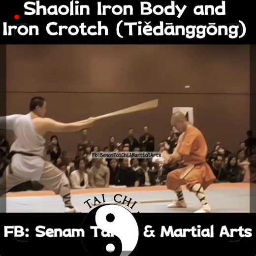 Shaolin Iron Body and Iron Crotch (Tiědānggōng) are advanced Shaolin qigong techniques designed to harden the body against, or make it impervious to, intense impact and pain. Techniques involve using qigong breathing to manage pain, along with conditioning that includes striking the groin with heavy objects, such as a 40 kg log, for the "Iron Crotch" technique. Key Aspects of Iron Body and Iron Crotch Purpose: The goal is to make the body's weakest points, such as the crotch, throat, and abdomen