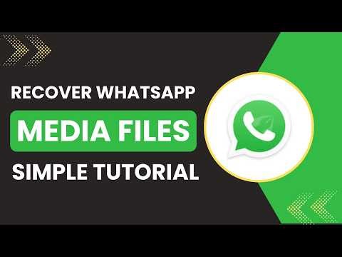 How to recover WhatsApp media files