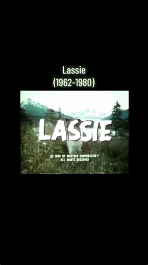 Aantal afleveringen 591. Uitgezonden door NCRV (6 oktober 1962 - 29 april 1967 / 19 juli 1979 - 9 maart 1980) EO (21 januari 1988 - 18 juli 1990) #lassie