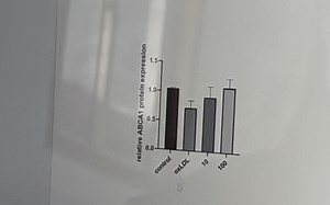 GraphPad Prism 9简单用法(用自己的实验数据制作表格图表)