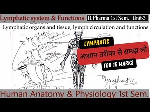 Lymphatic system | Lymphatic organs and tissue l lymph circulation and functions of lymphatic system