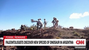 New species of dinosaur discovered in Argentina