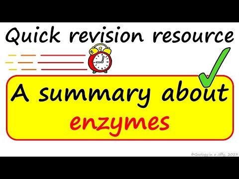 Enzymes - a summary, perfect for revision!
