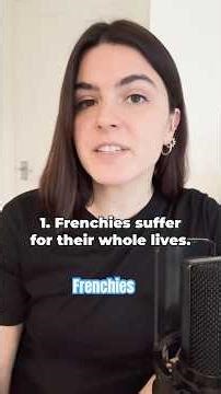 7 reasons NOT to buy a French Bulldog