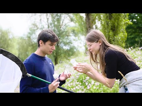 Life Sciences Biology – Bachelor's degree program at the Technical University of Munich