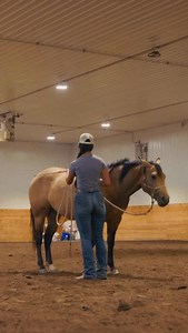 5.7K views · 9.6K reactions | Teaching your horse to come over to the...
