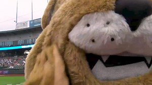 Fireworks on and off the field! Don't miss the Round Rock Express this season at Dell Diamond! | Round Rock Express