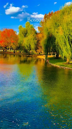 Autumn in the Public Garden-Boston #massachusetts #boston #617 #autumn #fall @visitma #newenglandfall #autumnaesthetic #fallvibes @friendsofthepublicgarden | Joann Vitali