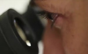 Basic Microscope Techniques