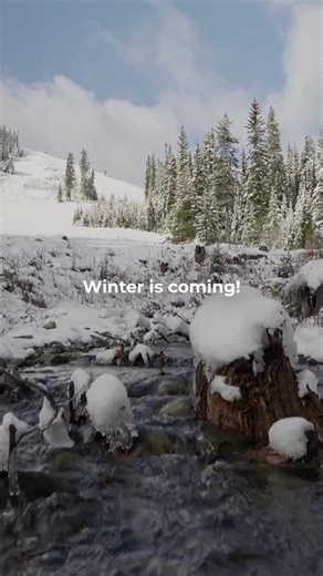 Summer’s fun and Fall is golden… but Winter at Manning Park? That’s pure magic on the mountain! ⛷️ Tickets, Snow School & Equipment Rentals will be available online - October 20th 🏔️ https://manningpark.resortstore.net/en/catalogue/categories/ Your Winter Wonderland is calling — book your adventure today! ⚠️ Drone use is prohibited in BC Parks without proper authorization. #ManningParkResort #ExploreBC #ManningPark | Manning Park Resort