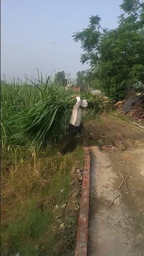 Indian village life || UP village life
