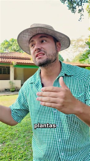 Manga Temperada é uma Delicia 🥭🧂 #shorts #humor #memes #forthjardim